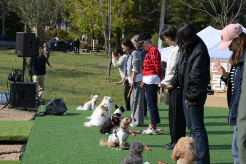 f62c38848a9af17dec577a2119eed4c9_1763707037_611.jpg f62c38848a9af17dec577a2119eed4c9_1763707037_611.jpg