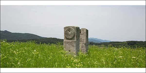 f99d9df10f9b03469fdfa366a9951a48_1762740871_0497.jpg f99d9df10f9b03469fdfa366a9951a48_1762740871_0497.jpg