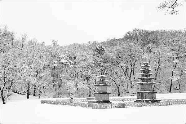 f99d9df10f9b03469fdfa366a9951a48_1762740885_4784.jpg f99d9df10f9b03469fdfa366a9951a48_1762740885_4784.jpg