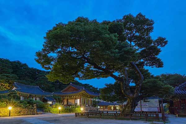 f99d9df10f9b03469fdfa366a9951a48_1762741369_5048.jpg f99d9df10f9b03469fdfa366a9951a48_1762741369_5048.jpg