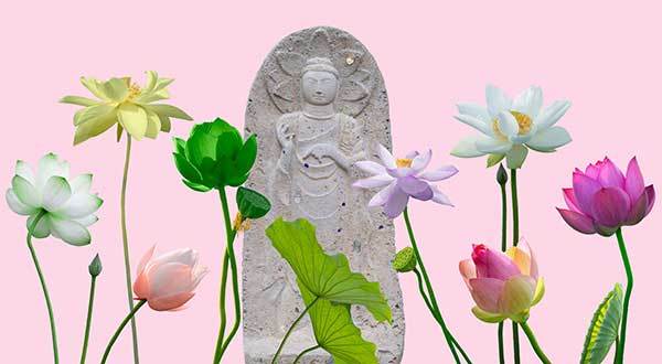 f99d9df10f9b03469fdfa366a9951a48_1762741388_8403.jpg f99d9df10f9b03469fdfa366a9951a48_1762741388_8403.jpg