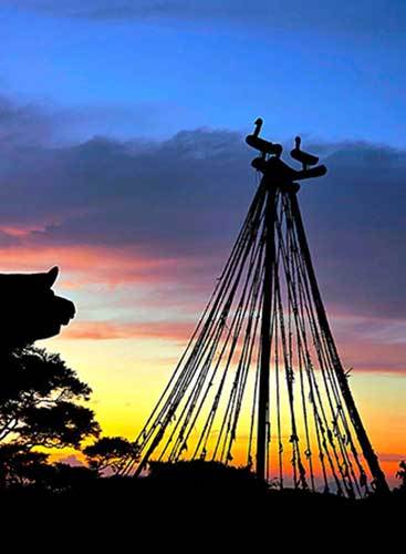 f99d9df10f9b03469fdfa366a9951a48_1762741456_0461.jpg f99d9df10f9b03469fdfa366a9951a48_1762741456_0461.jpg