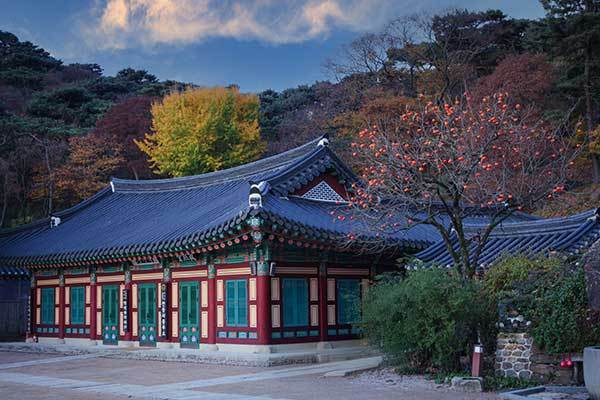 f99d9df10f9b03469fdfa366a9951a48_1762741471_4814.jpg f99d9df10f9b03469fdfa366a9951a48_1762741471_4814.jpg