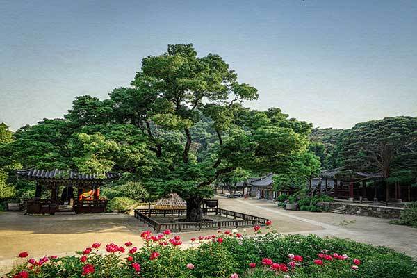 f99d9df10f9b03469fdfa366a9951a48_1762741488_7803.jpg f99d9df10f9b03469fdfa366a9951a48_1762741488_7803.jpg