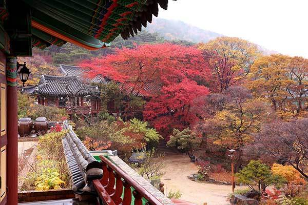 f99d9df10f9b03469fdfa366a9951a48_1762741522_1642.jpg f99d9df10f9b03469fdfa366a9951a48_1762741522_1642.jpg