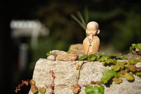 f99d9df10f9b03469fdfa366a9951a48_1762741553_9343.jpg f99d9df10f9b03469fdfa366a9951a48_1762741553_9343.jpg