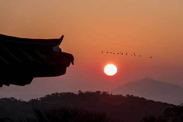 f99d9df10f9b03469fdfa366a9951a48_1762741571_5502.jpg f99d9df10f9b03469fdfa366a9951a48_1762741571_5502.jpg