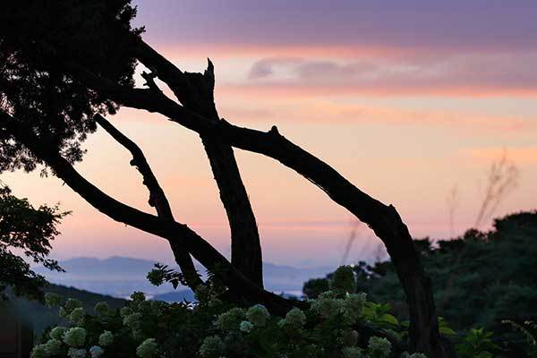 f99d9df10f9b03469fdfa366a9951a48_1762741591_1957.jpg f99d9df10f9b03469fdfa366a9951a48_1762741591_1957.jpg