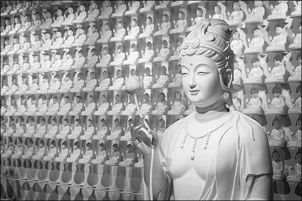 f99d9df10f9b03469fdfa366a9951a48_1762741643_7062.jpg f99d9df10f9b03469fdfa366a9951a48_1762741643_7062.jpg